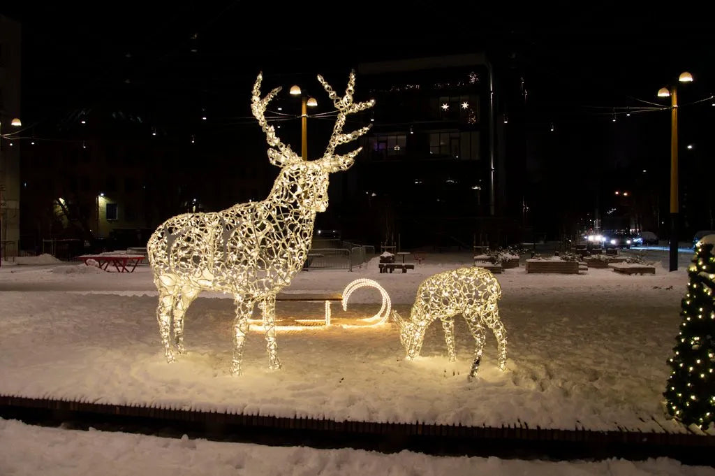 DEER 120